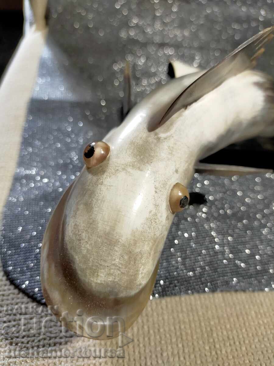 Διάφορα ψάρια