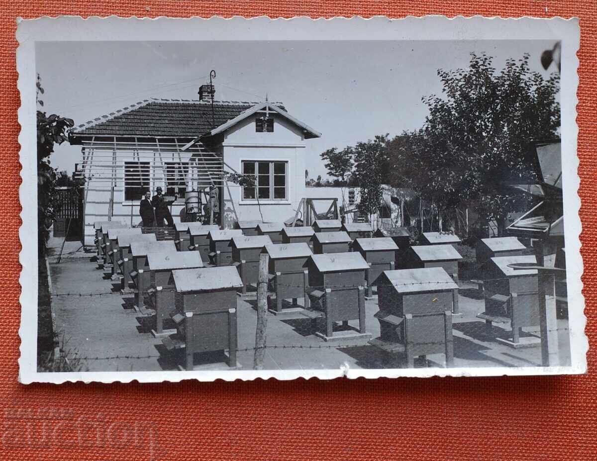 Пчелар-Кошери