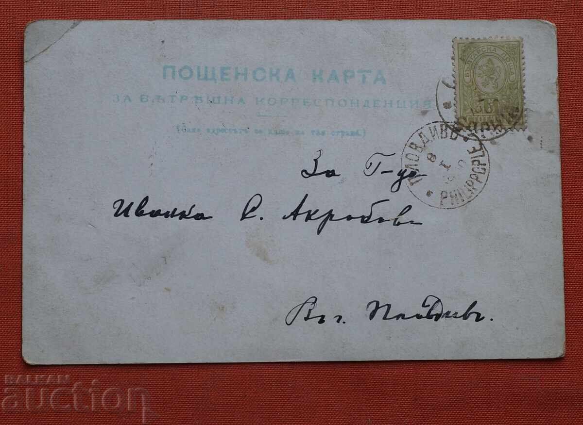 Γραμματόσημο μικρό λιοντάρι 5 στ Γραμματόσημο μικρό λιοντάρι 5 στ