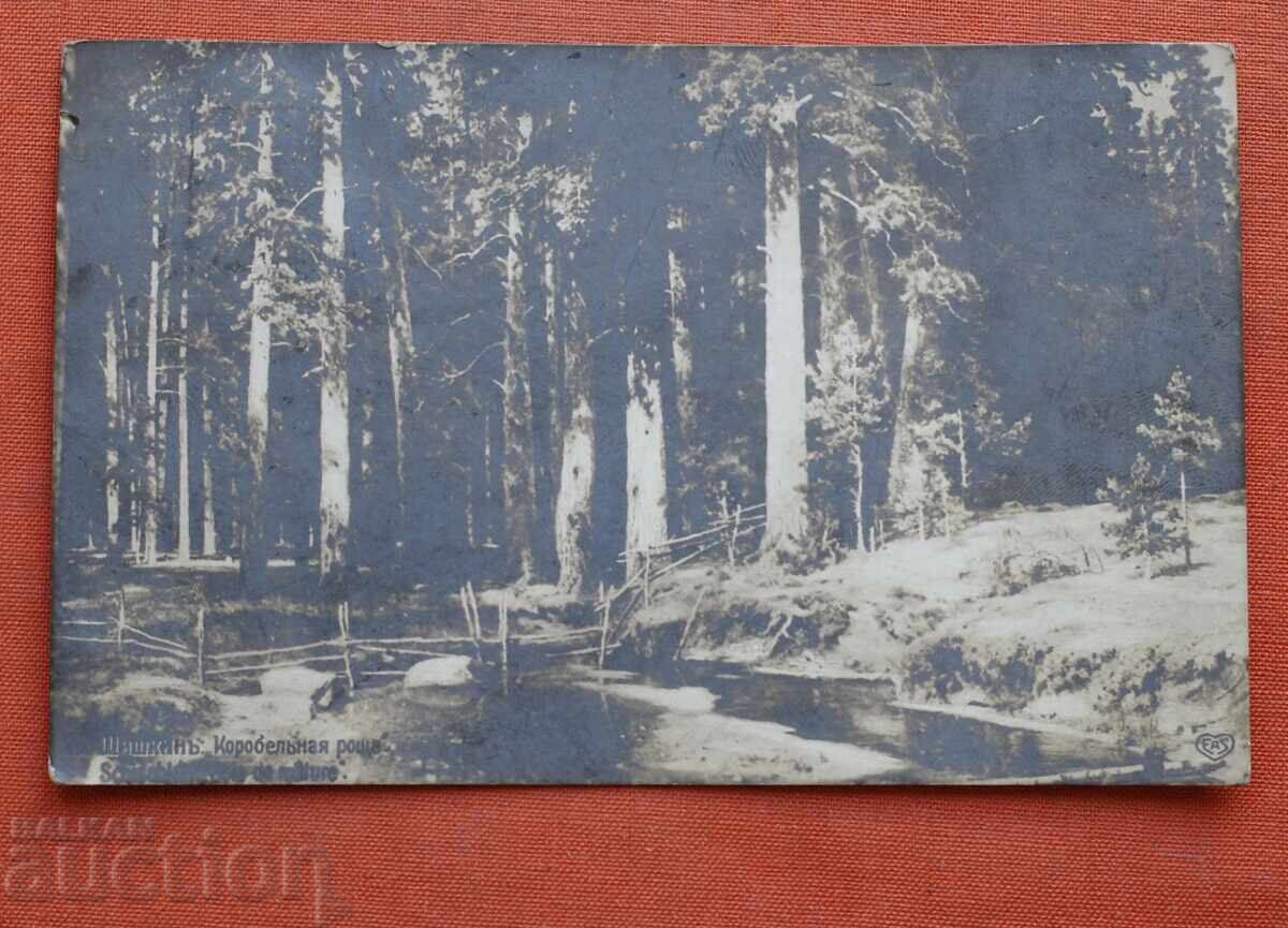 Shishkin