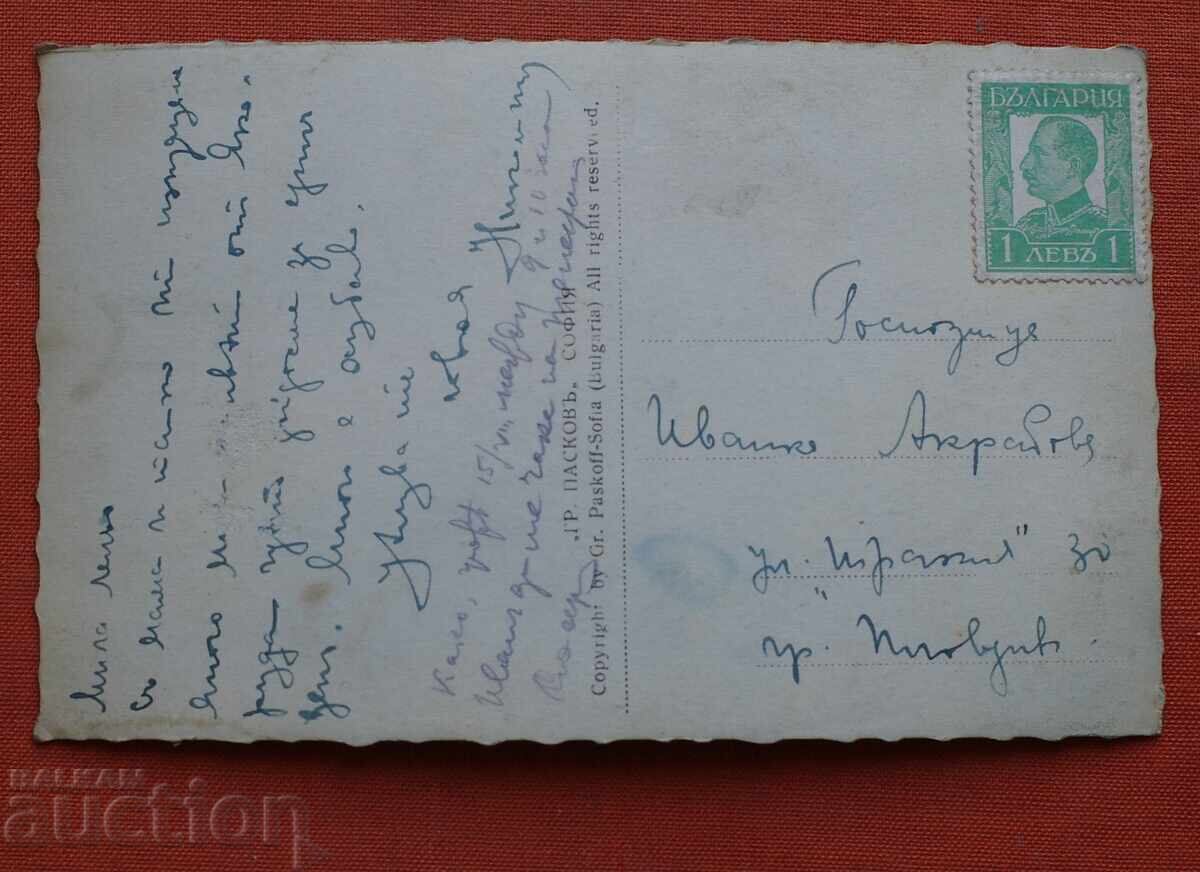 Γιάκορουντα από Ρίλα-Ροπάλιτσα με τιμή € 5.00 | 9.78 BGN