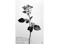 «Τριαντάφυλλο» - σχέδιο