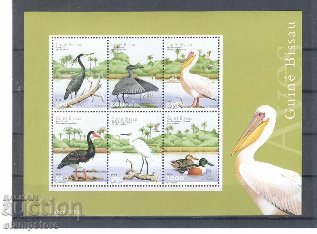 Guinea-Bissau - Birds