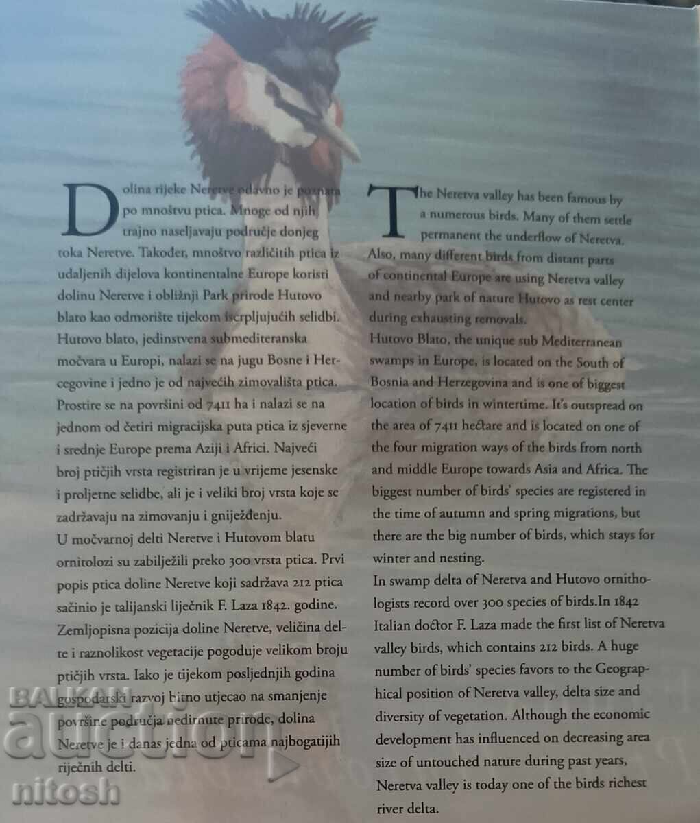 Δημοπρασία 2008/2009 - Βοσνία και Ερζεγοβίνη, Πουλιά