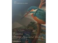 2008/2009 - Βοσνία και Ερζεγοβίνη, Πουλιά