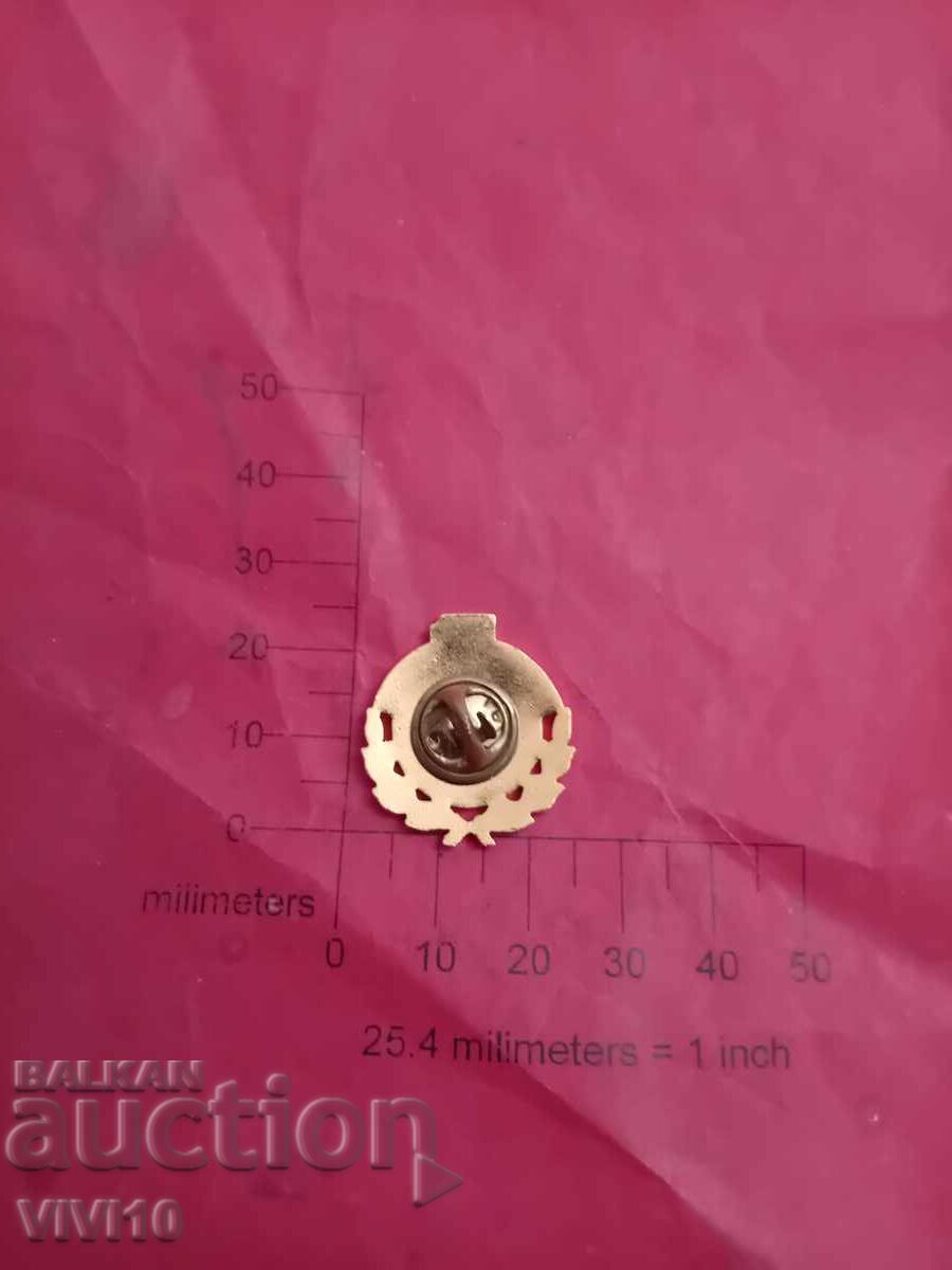 Наградна значка Полша с цена € 10.00 | 19.56 лв.