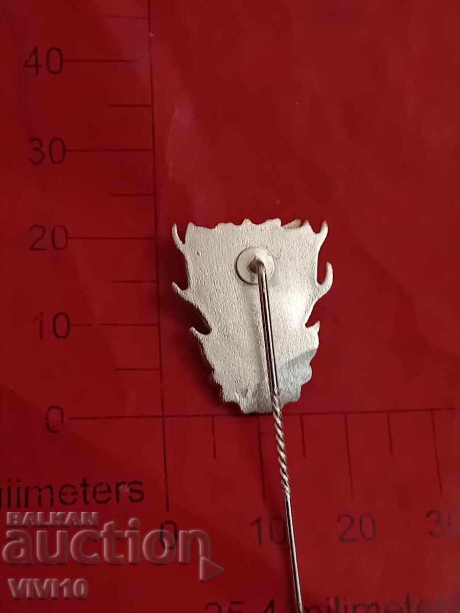 Ловна значка, Саксония,емаил с цена € 10.00 | 19.56 лв.