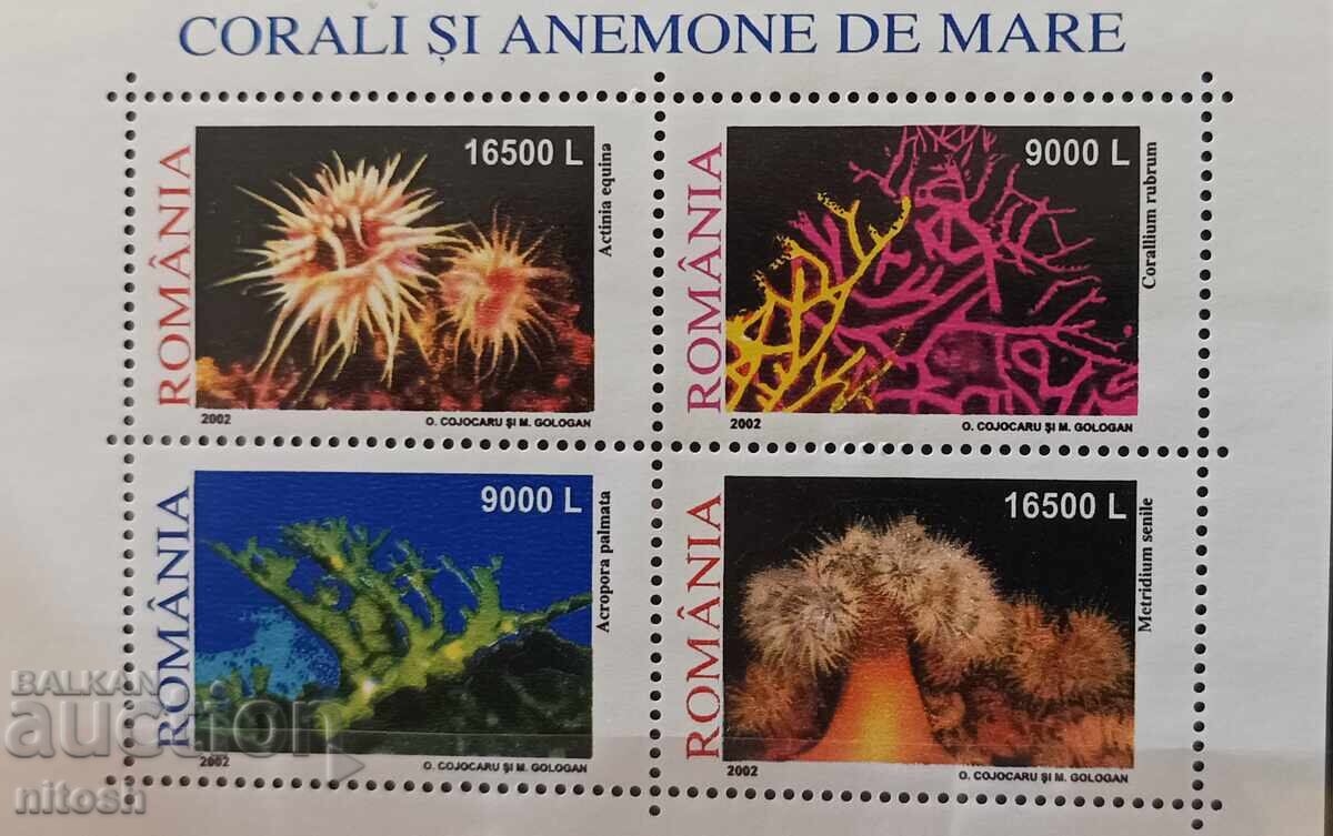 2002 România - Corali