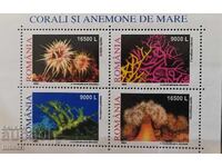 2002 România - Corali