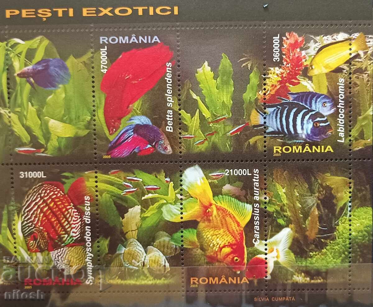 2005 - România - Pești exotici