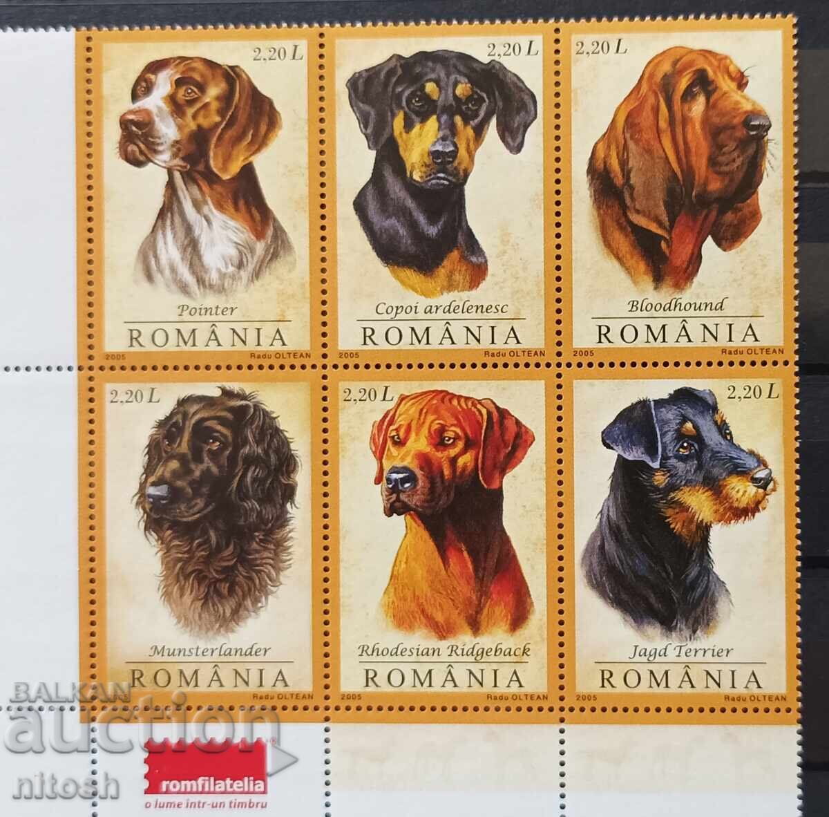 2005 România - Rase de câini