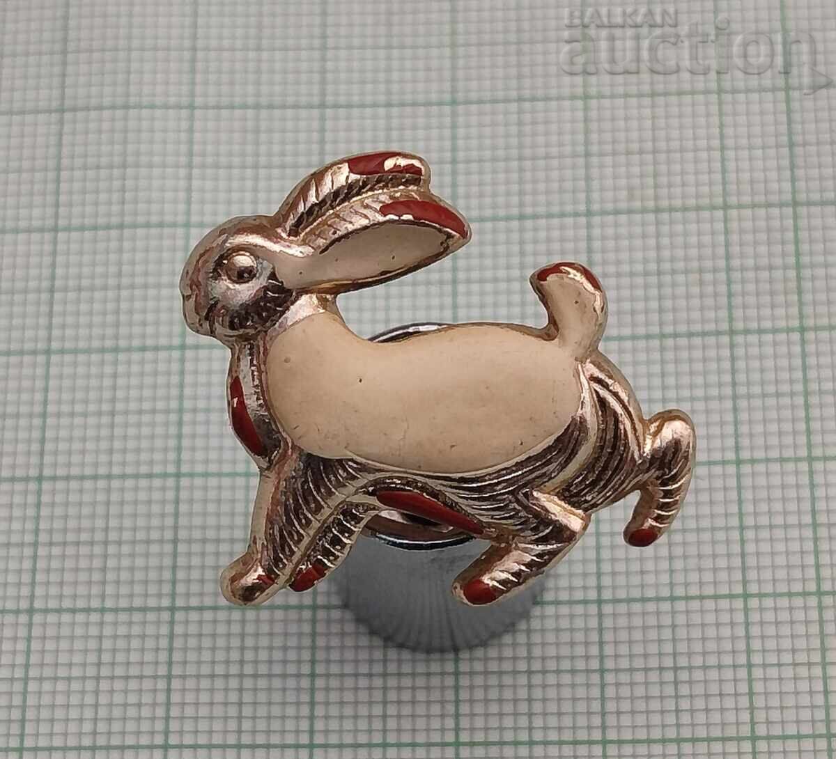 ΚΑΡΦΙΤΣΑ ΛΑΓΟΥΔΑΚΙ