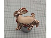 ΚΑΡΦΙΤΣΑ ΛΑΓΟΥΔΑΚΙ