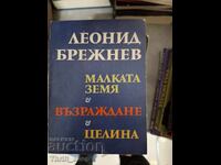 Mica țară, Renașterea și Țelina Leonid Brejnev