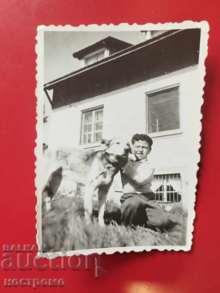 Куче -  Стара снимка  -  A 7316
