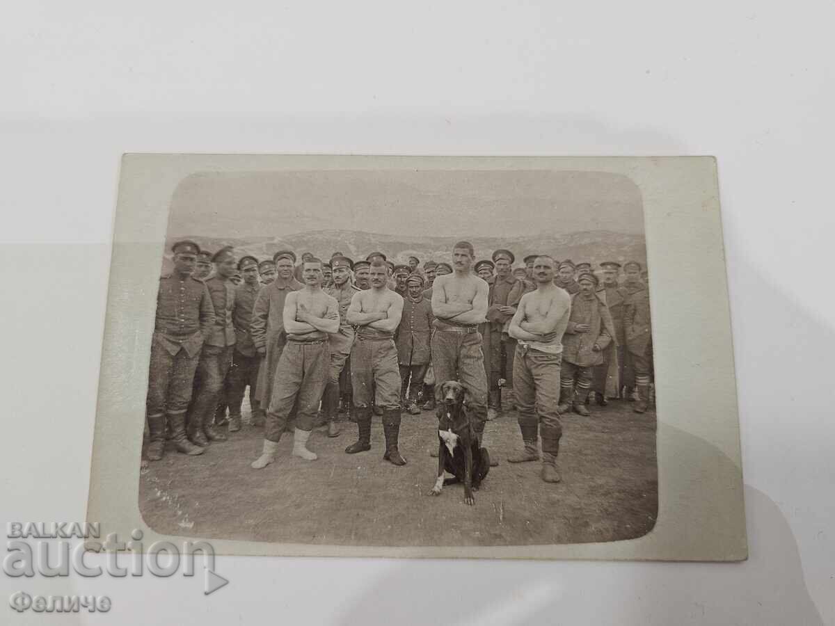 Licitație Carte poștală foto militară regală bulgară - soldați cu câine