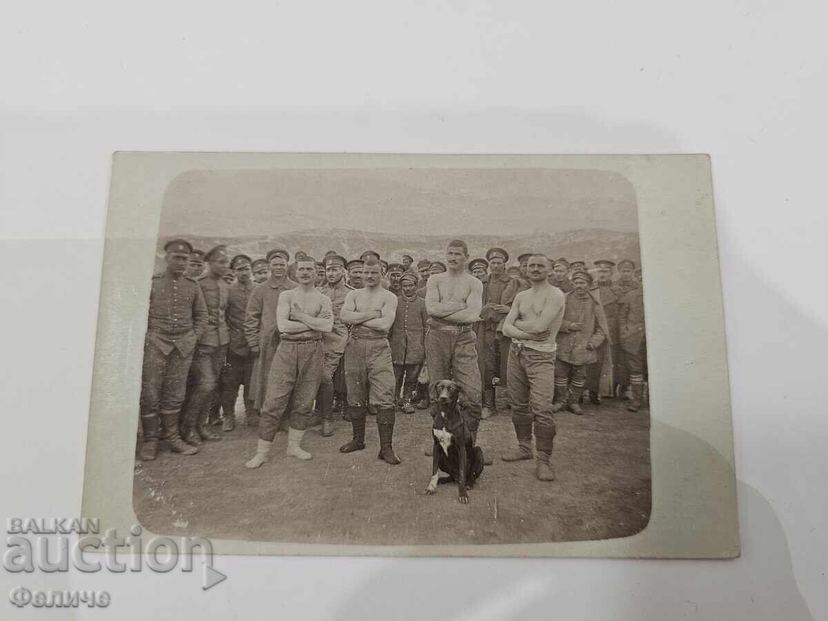 Carte poștală foto militară regală bulgară - soldați cu câine