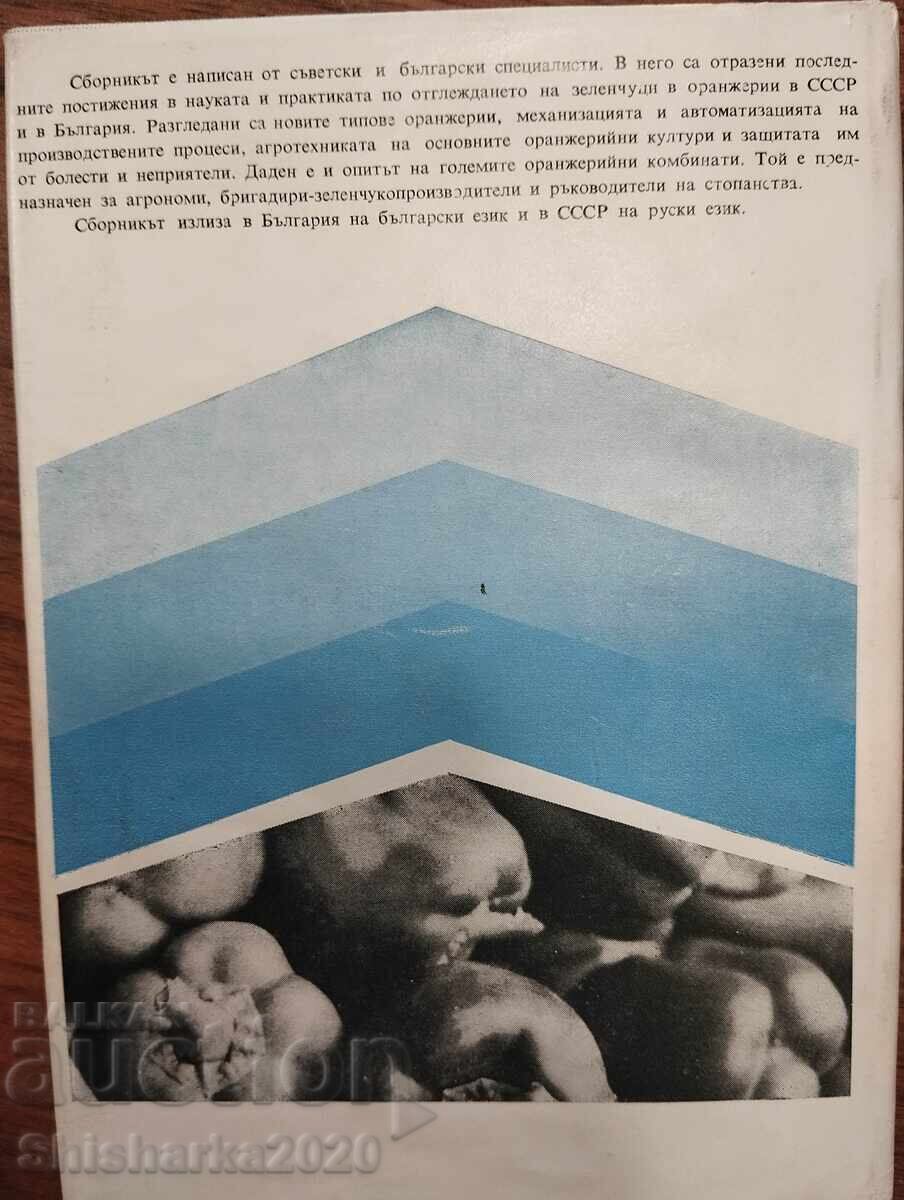 Παραγωγή λαχανικών σε θερμοκήπια - 6