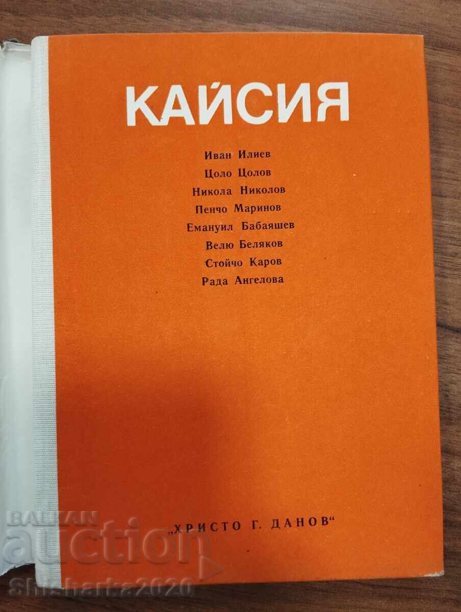 Βερίκοκο με τιμή € 7.00 | 13.69 BGN