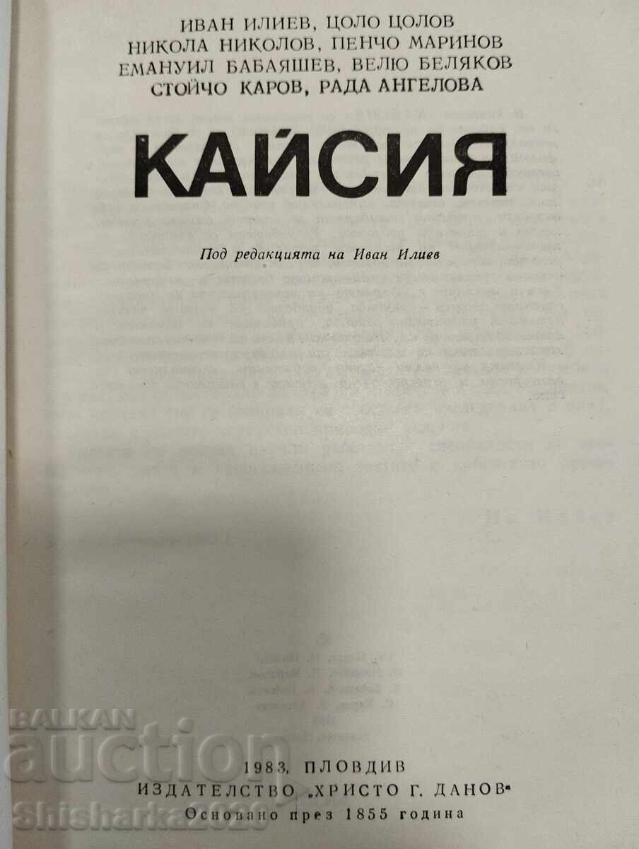 Δημοπρασία Βερίκοκο