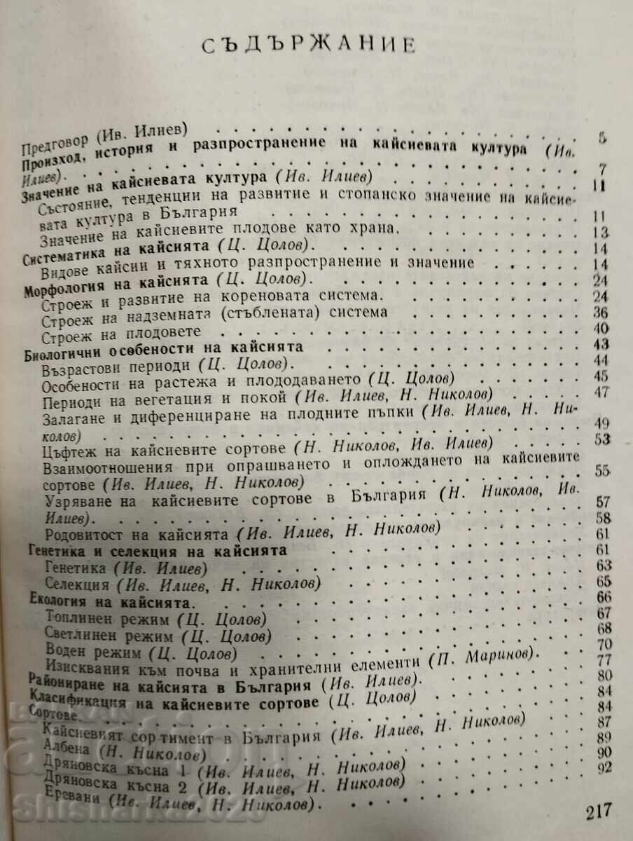 Παράδοση Βερίκοκο