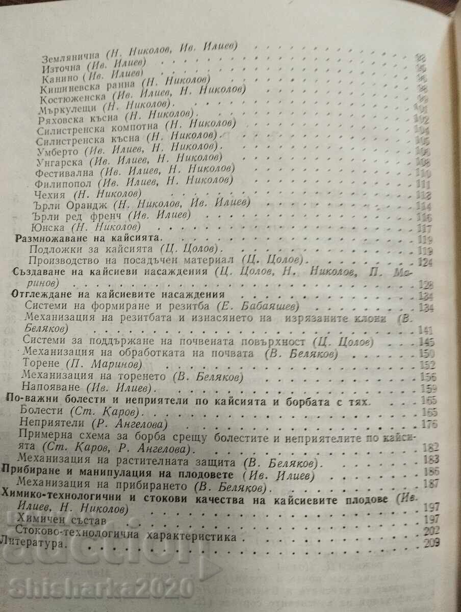 Βερίκοκο - 5