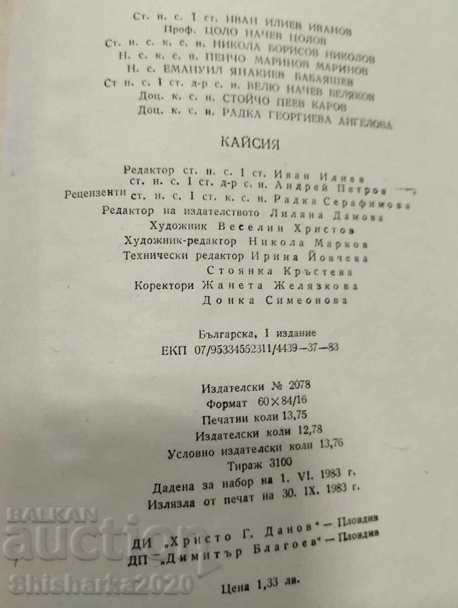 Βερίκοκο - 6