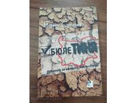 Έντβιν Σούγκαρεφ - Δελτίο