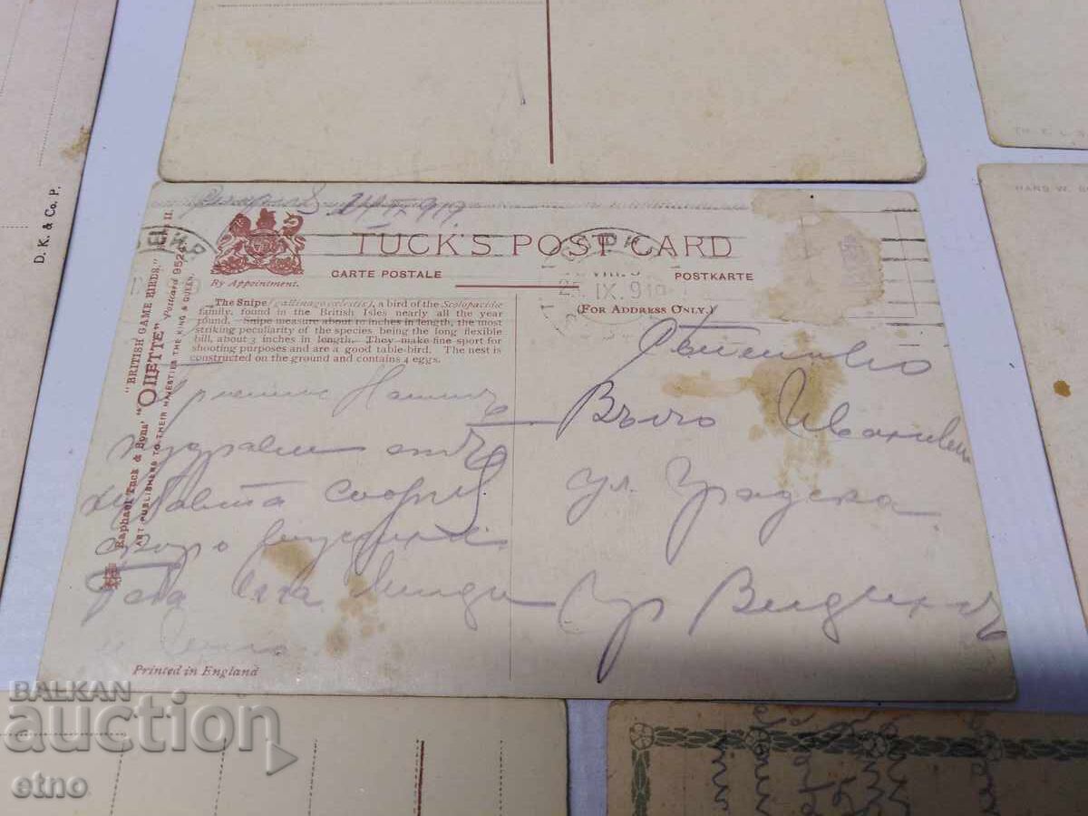 14 bucăți CĂRȚI POȘTALE REGALE COLORATE DIN ANII '20 - 7