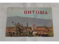 ВИТОША КАРТА 1965 г.