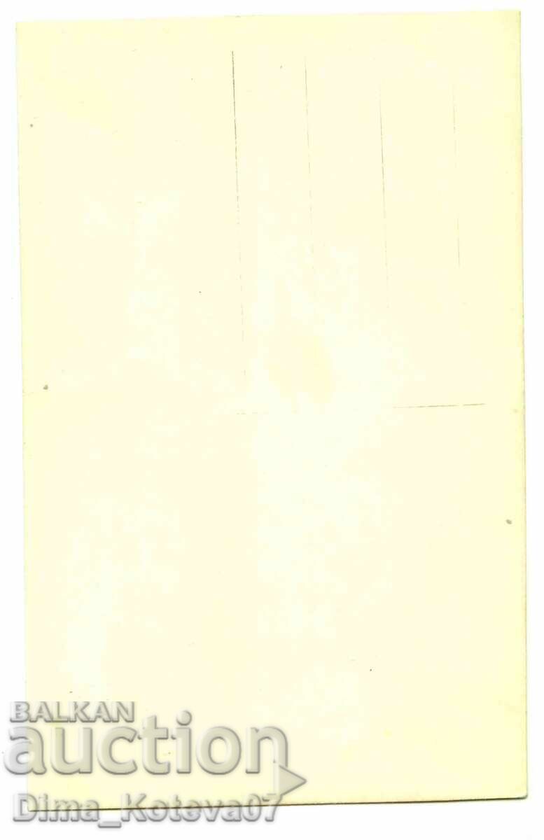 Стара царска картичка св. Врач Сандански изглед от парка с цена € 12.00 | 23.47 лв.