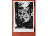 Berkovitsa - View of Kom