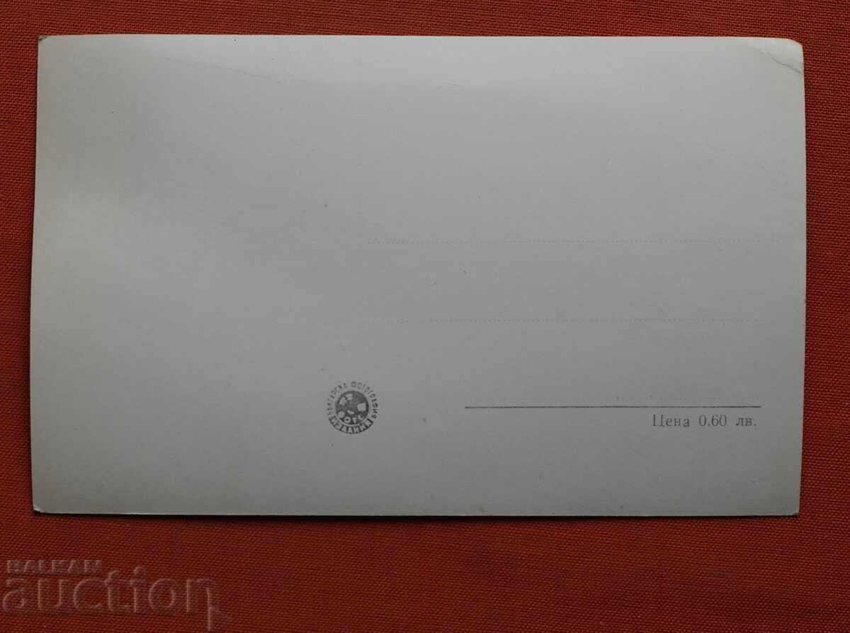 Σωζόπολη - Παλιά Σπίτια με τιμή € 1.00 | 1.96 BGN