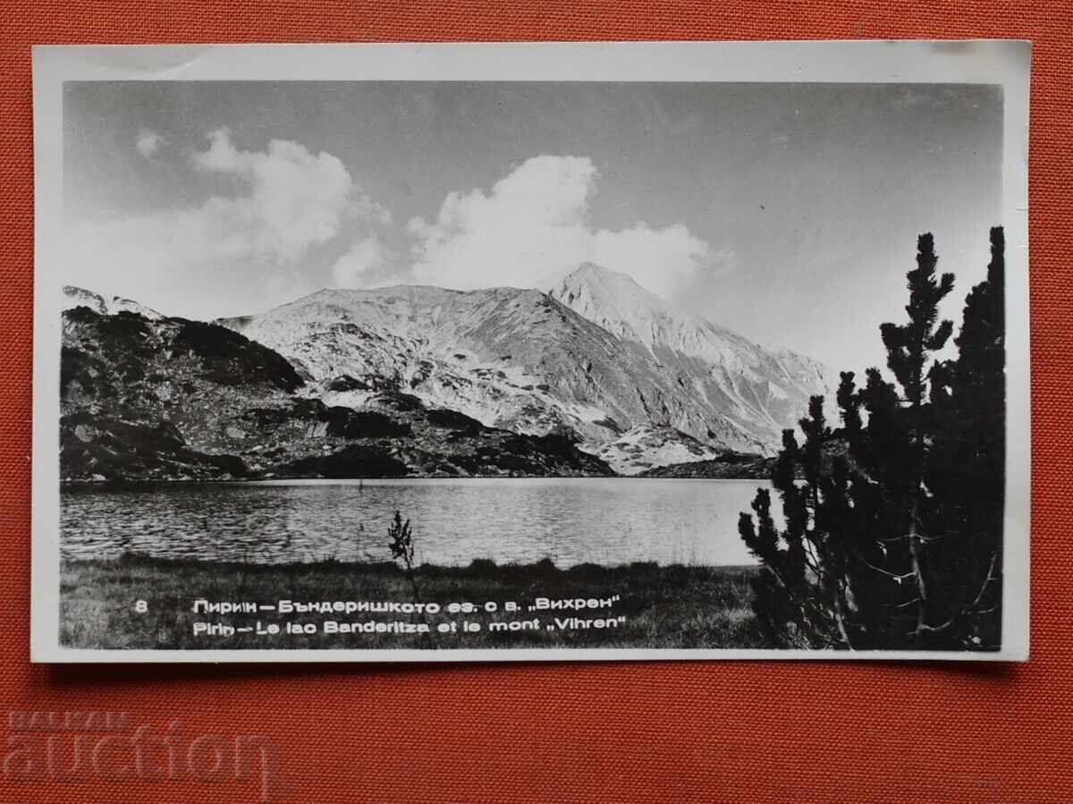 Pirin Pirin