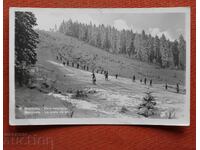 Borovets - Pârtia de schi