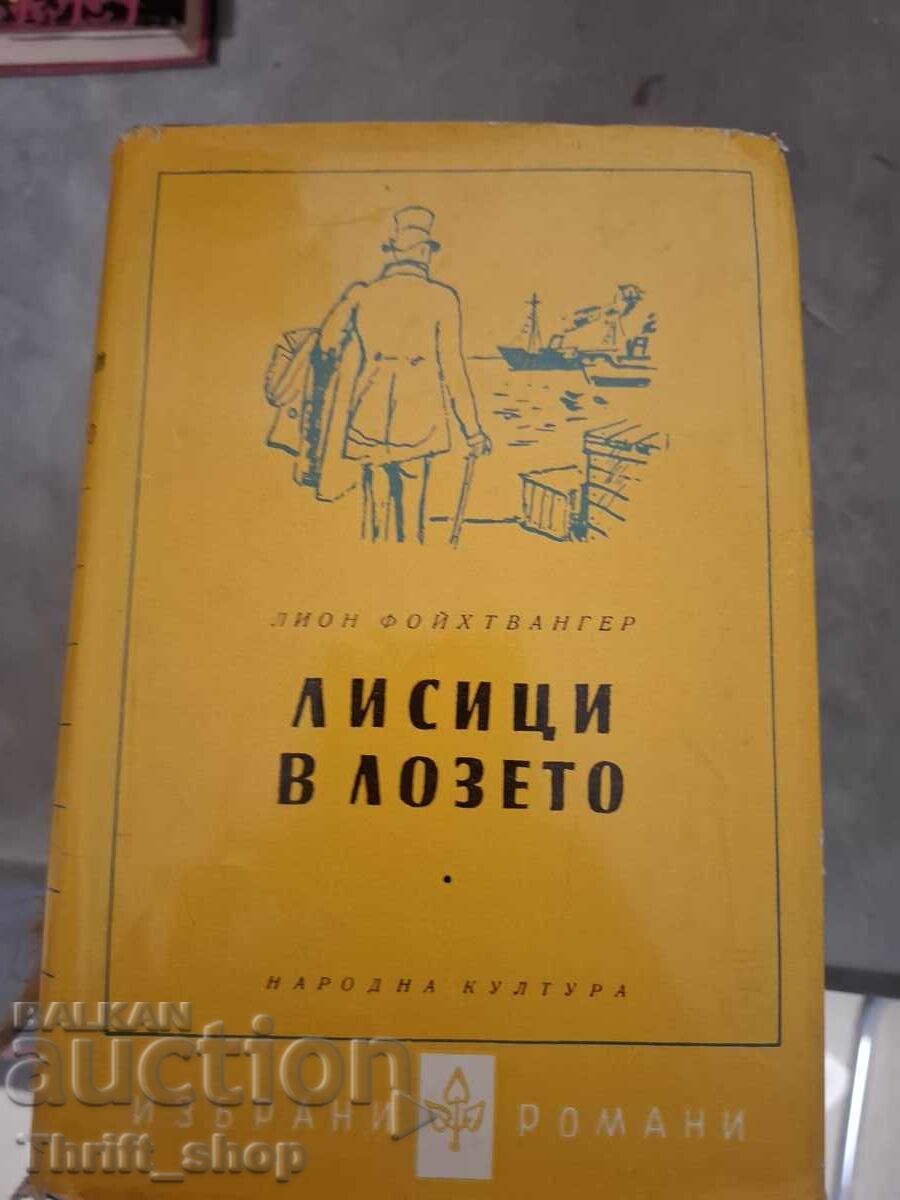 Foxes in the Lyon Feuchtwanger vineyard