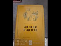 Foxes in the Lyon Feuchtwanger vineyard