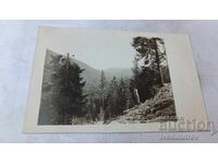 Φωτογραφία Πίριν, η κοιλάδα του ποταμού Νταμιάνιτσα