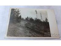 Снимка Пирин Месността Люмушъ Чалъ