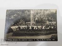 Българска  царска  фото картичка  - гр. Попово