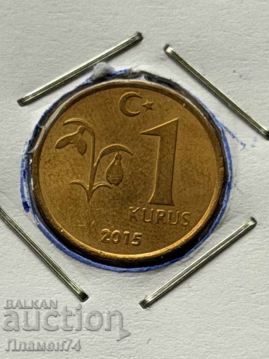 1 kuruș 2015 Turcia