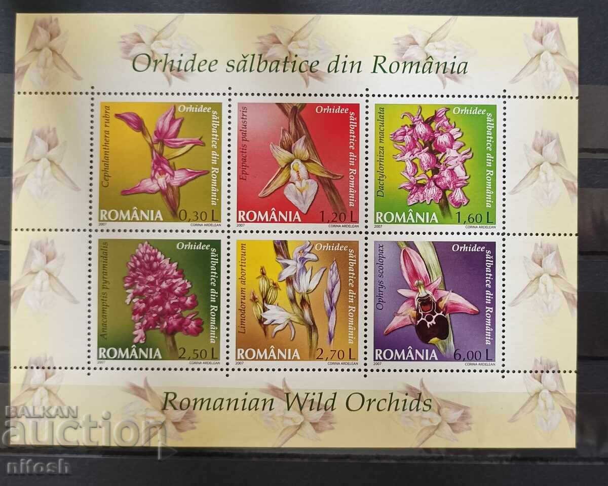 2007 Romania, Orchids