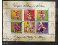 2007 Ρουμανία, Ορχιδέες