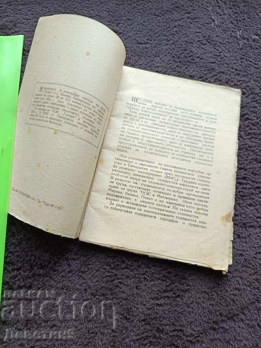 Аукцион ТКЗС "Гигант" в с. Белене - 1956 г.