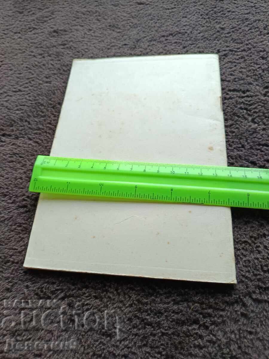 Sample thematic plan of the BZNS - 1973 with price € 9.00 | 17.60 BGN