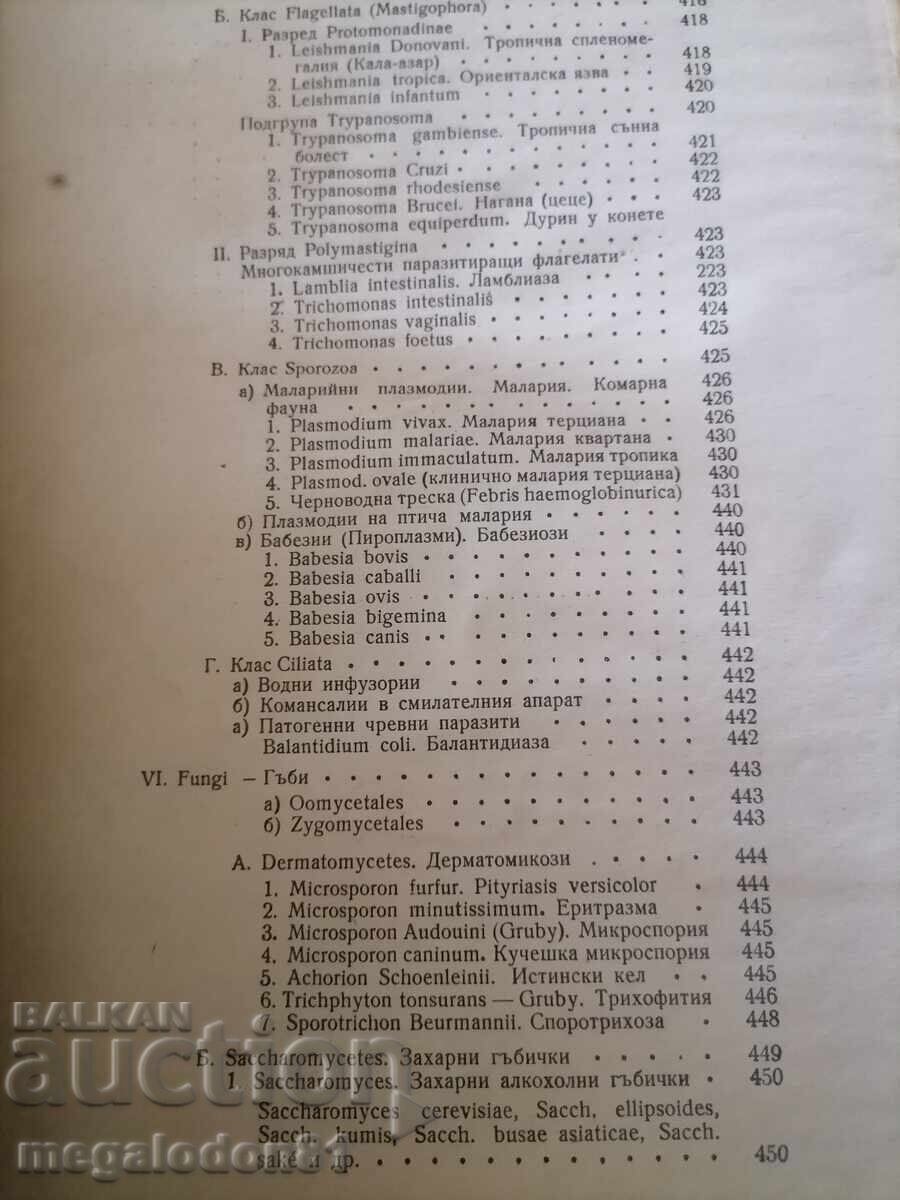 Παράδοση Ιατρική Μικροβιολογία - Ανοσία και Ιοί