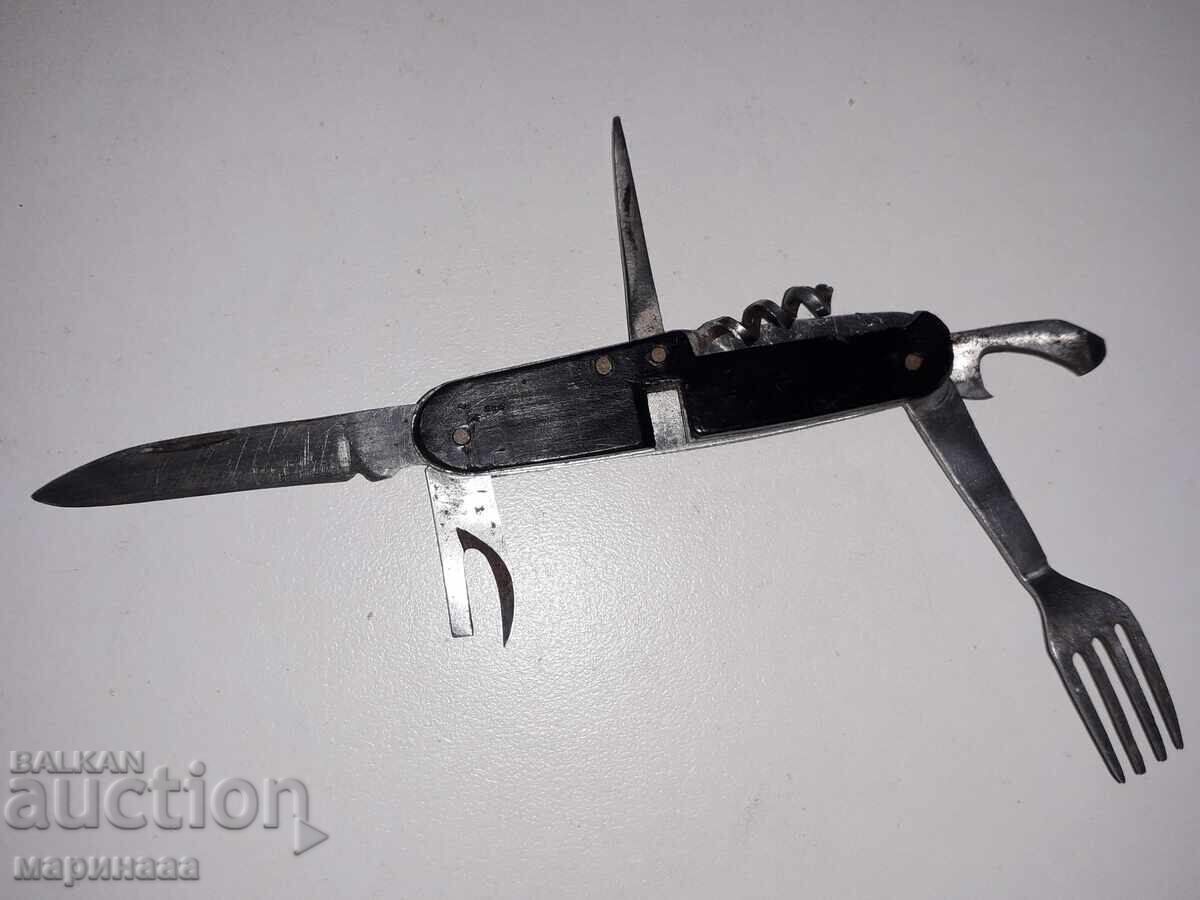 Licitație UN CUIT DE BUZUUNAR VECHI