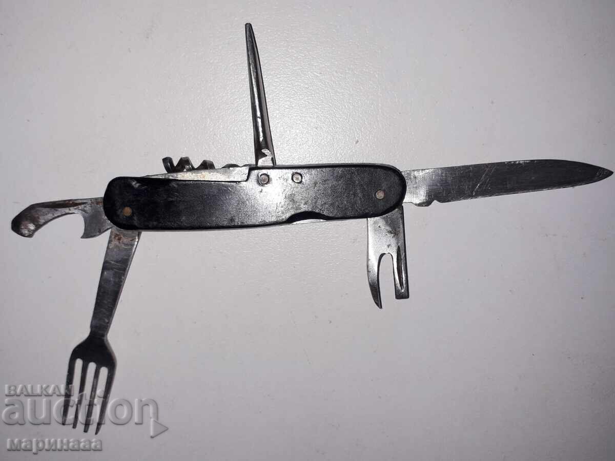 Livrarea UN CUIT DE BUZUUNAR VECHI