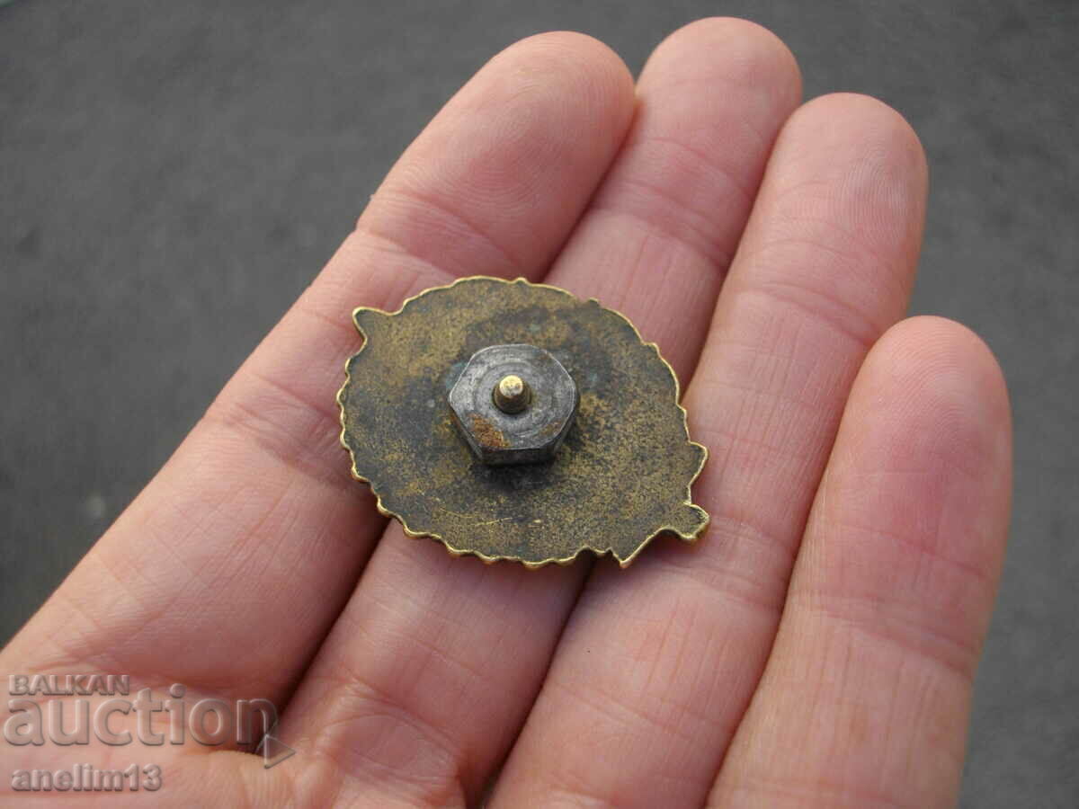 INSIGNĂ MILITARĂ BULGARĂ BRONZ PE Șurub WW - 5