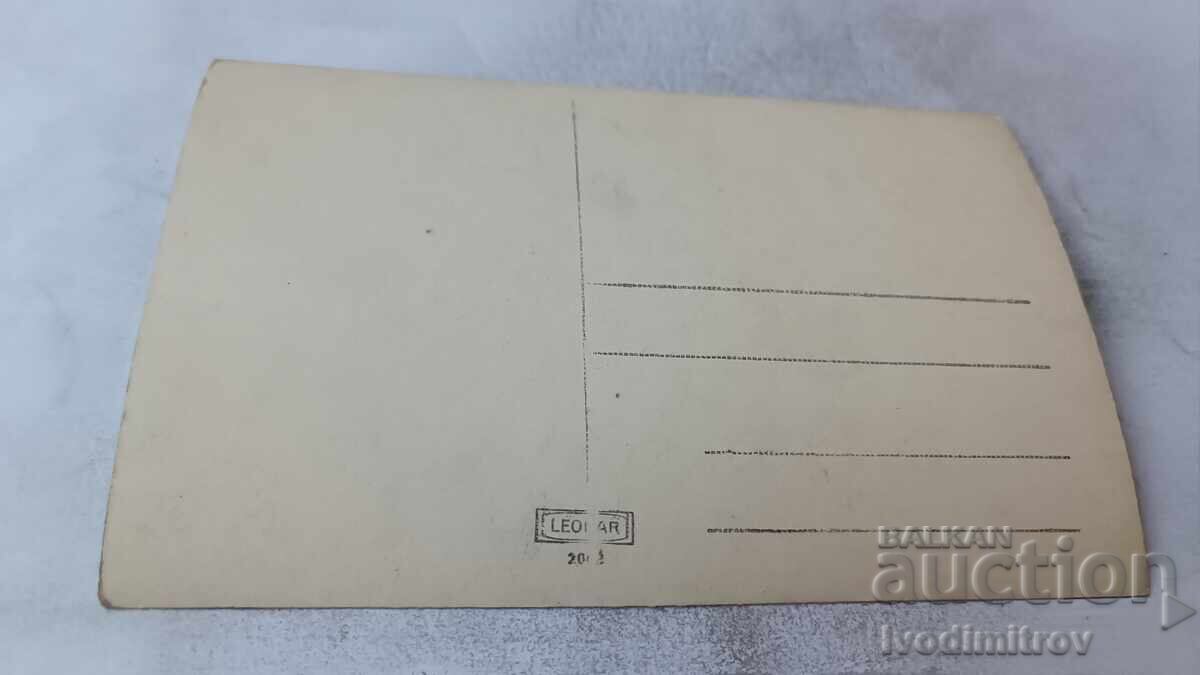 Снимка Младежи и девойки в парка с цена € 1.17 | 2.29 лв.